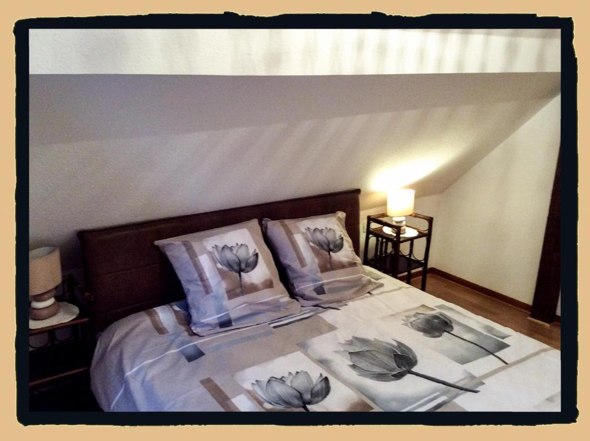 Residence Des Lentilles Schiltigheim Eksteriør bilde